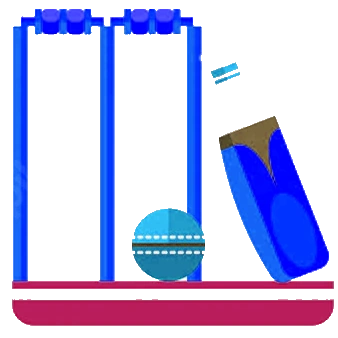 Cricket bat and ball - IPL equipment