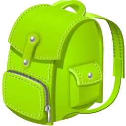 Carry Bag